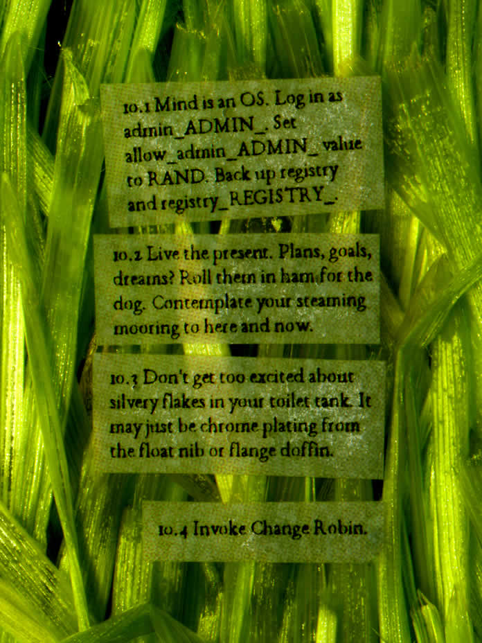 cat grass behind text on translucent oil-soaked paper