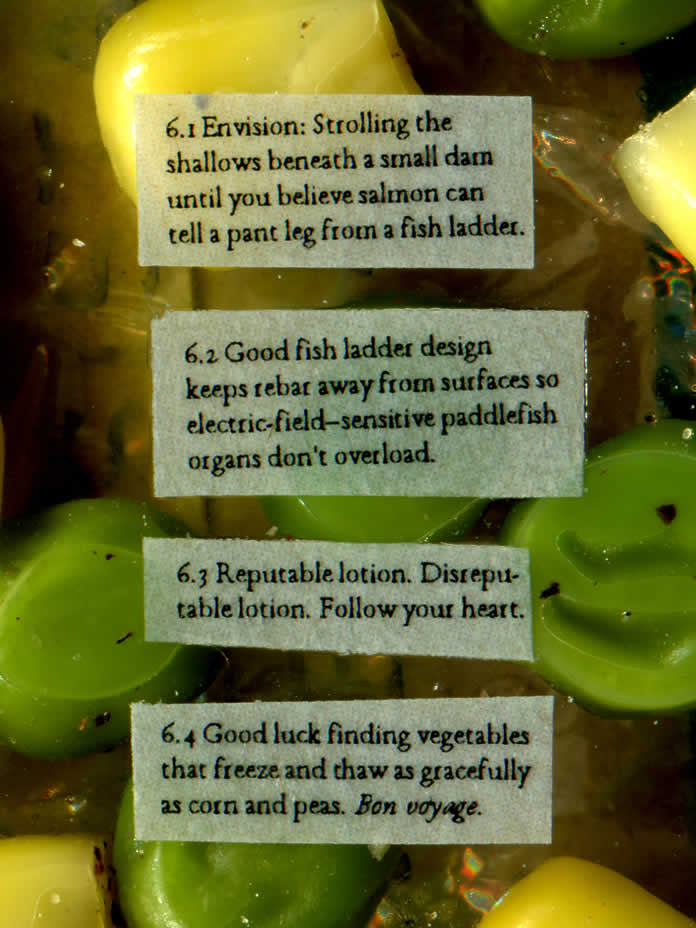 peas, corn, and text against cellophane-wrapped serpentines rolls