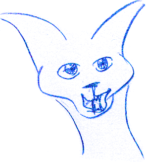 pencil drawing of cat