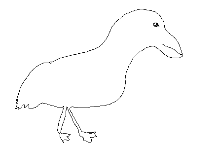bird walking. single pixel line drawing
