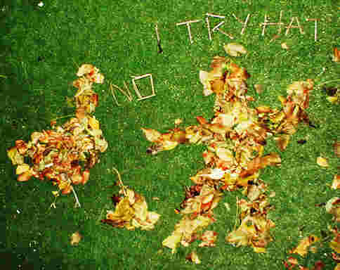 Leaves on astro turf form didactic tableau.