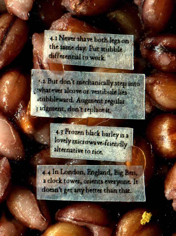 black barley and a fleck of gold surround oil saturated text