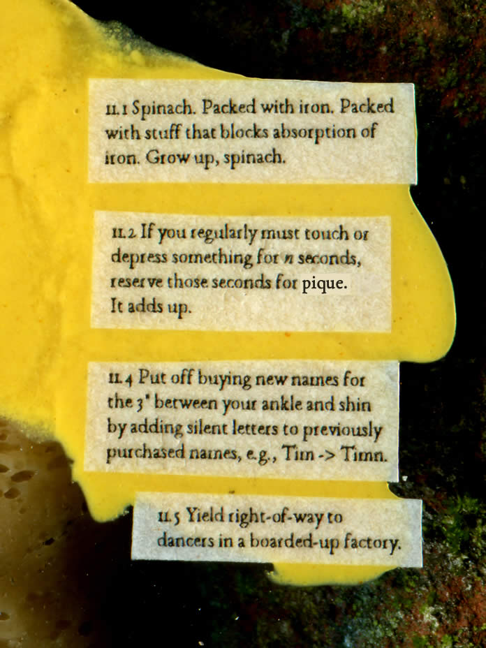 vegan lunchmeat and moss in background, text is engulfed in mustard