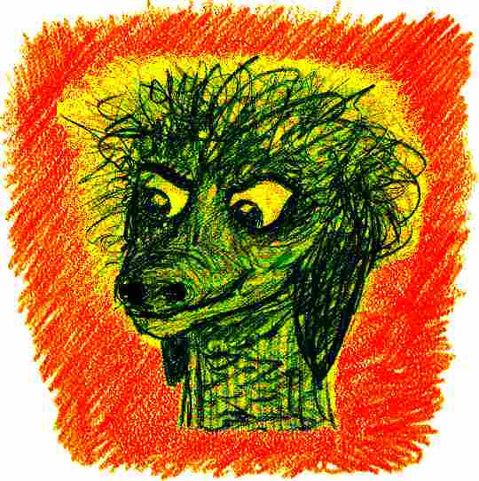 memo face with the guys, messy hair, long ears